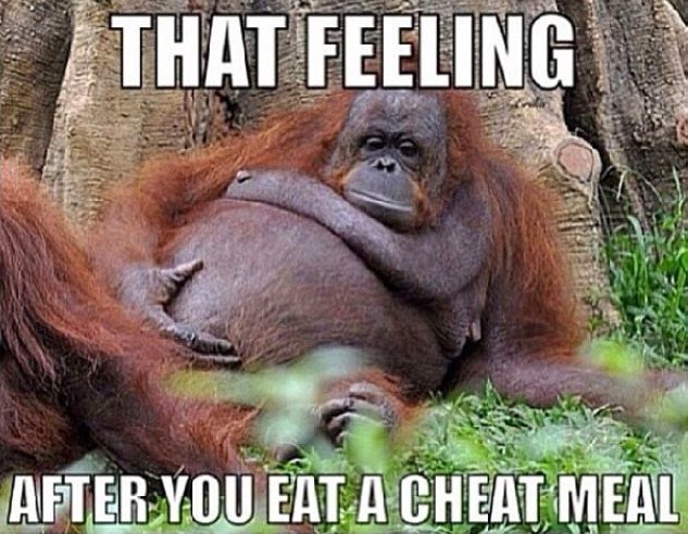 Why Cheat Meals are a Lie.